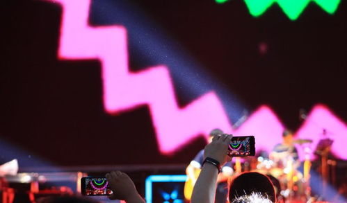 中演協經紀人委員會攜手廣播電視節目制作經營，助力沈陽法庫音樂節圓滿落幕